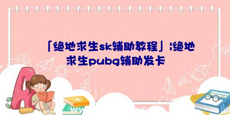 「绝地求生sk辅助教程」|绝地求生pubg辅助发卡